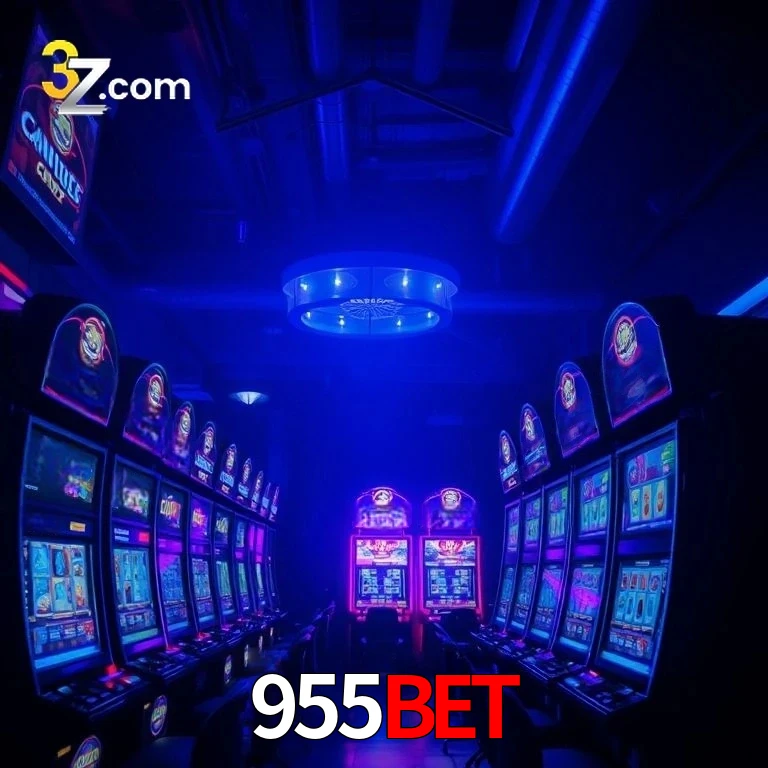 955bet App Security